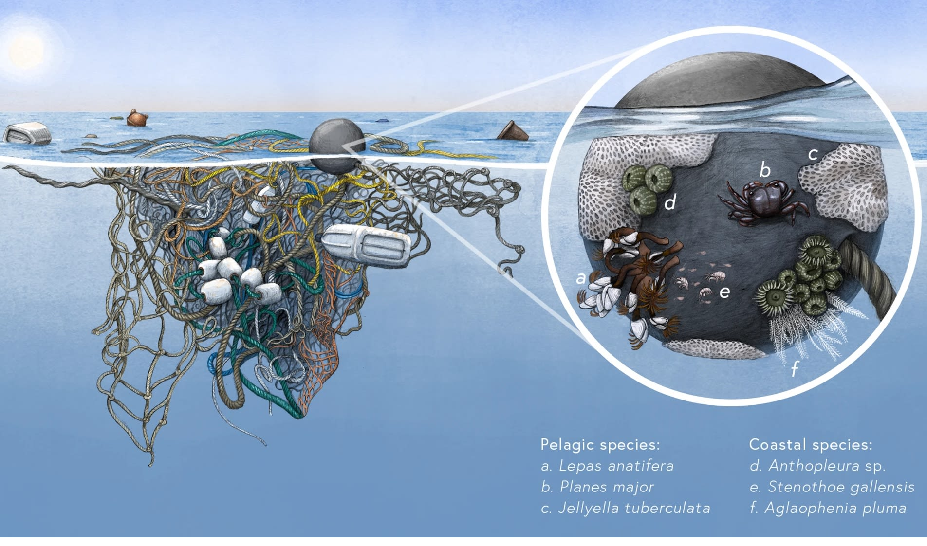 Las Islas De Pl Stico