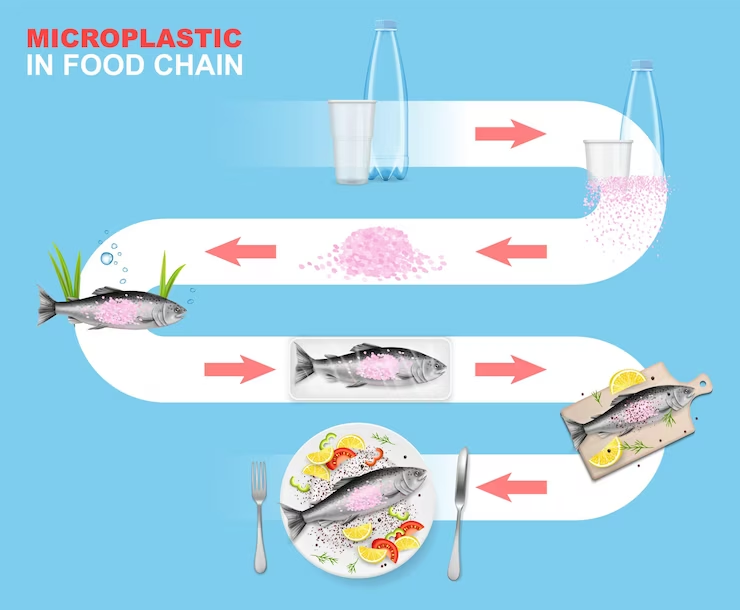 Microplásticos en la cadena alimentaria vector infografía entorno marino impacto de residuos plásticos en los animales acuáticos ...