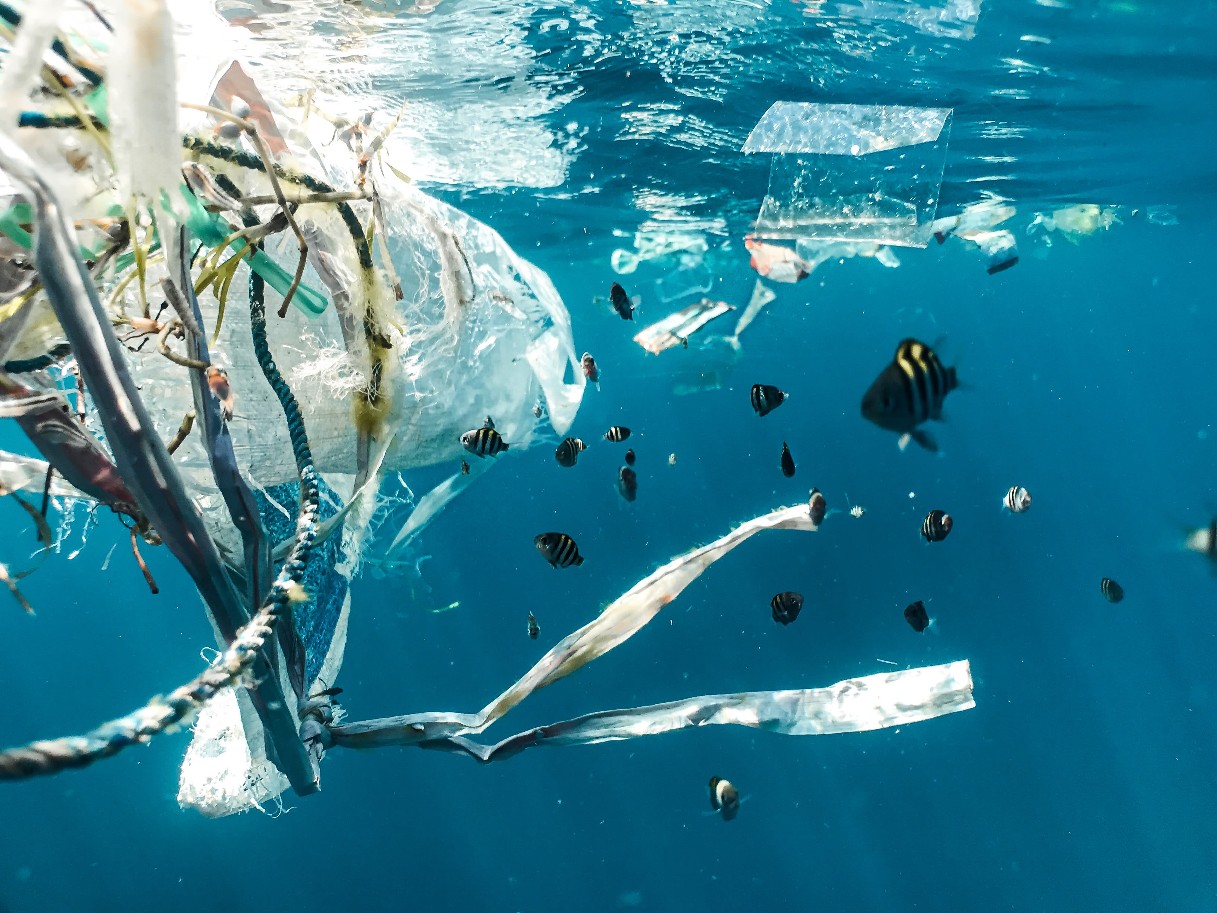 Plástico y basura flotando en el mar junto a una botella de agua reutilizable que simboliza la reducción de residuos.