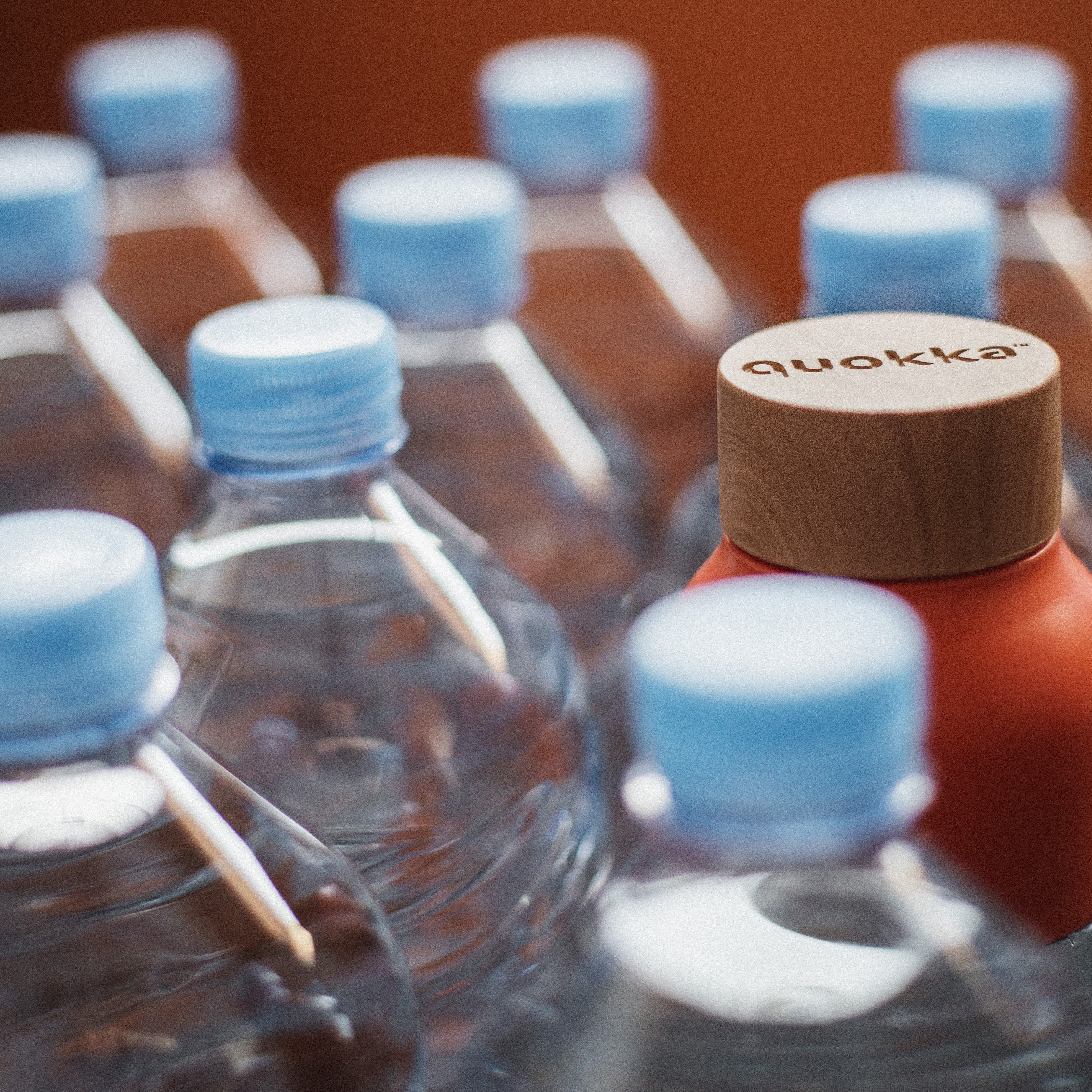 Botellas colocadas en contenedores de reciclaje, mostrando el impacto visible de los cambios en hábitos.