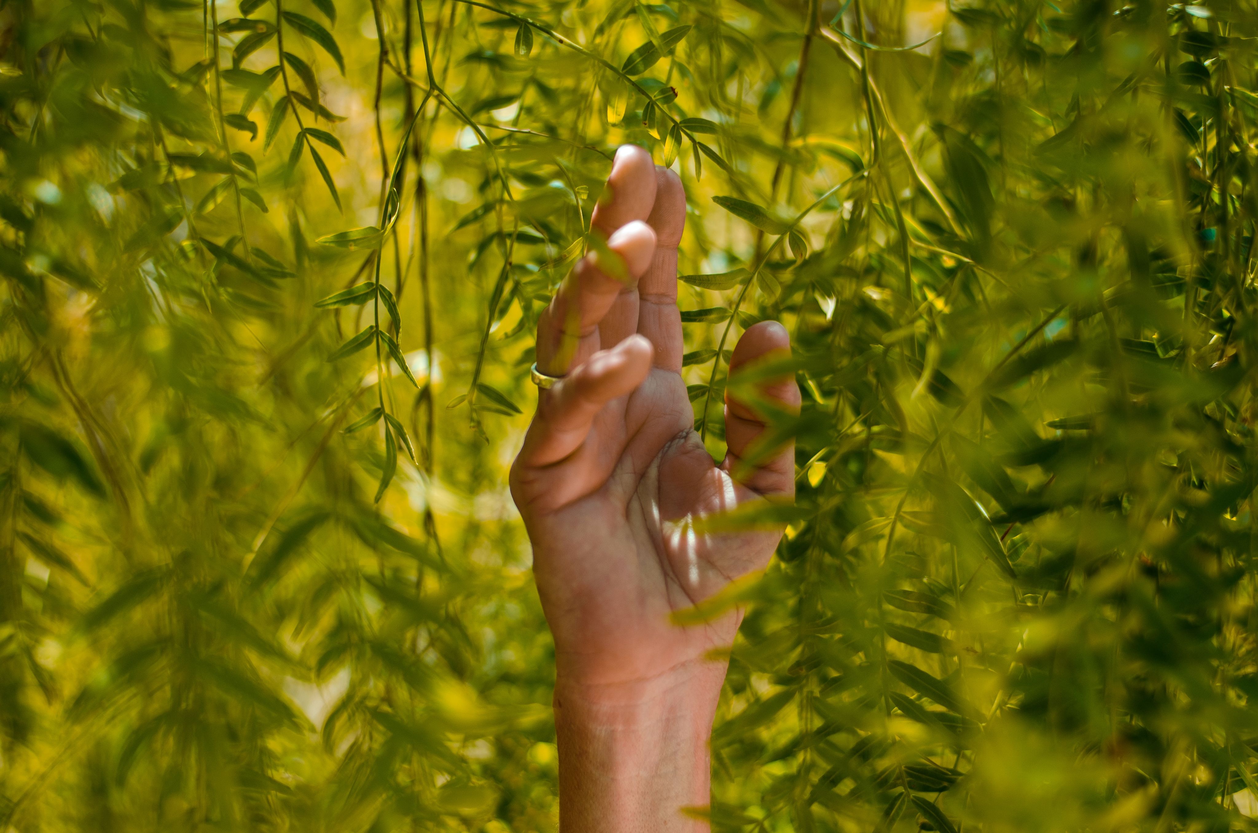 Mano tocando césped verde, simbolizando la conexión con la naturaleza y el cambio sostenible.
